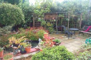 Garden 1