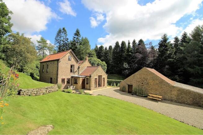 Rear View