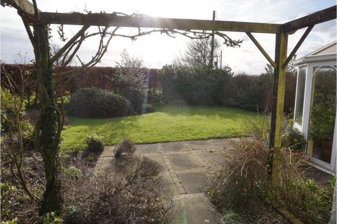 Mature Garden
