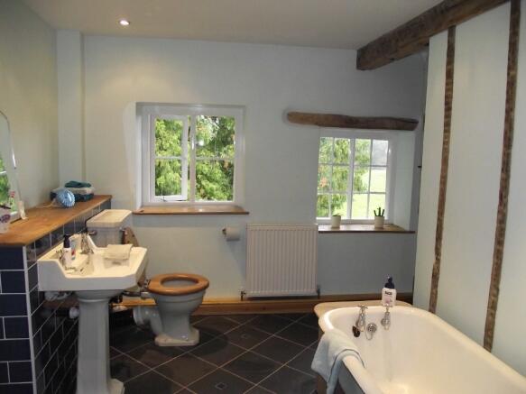 Photo 11
