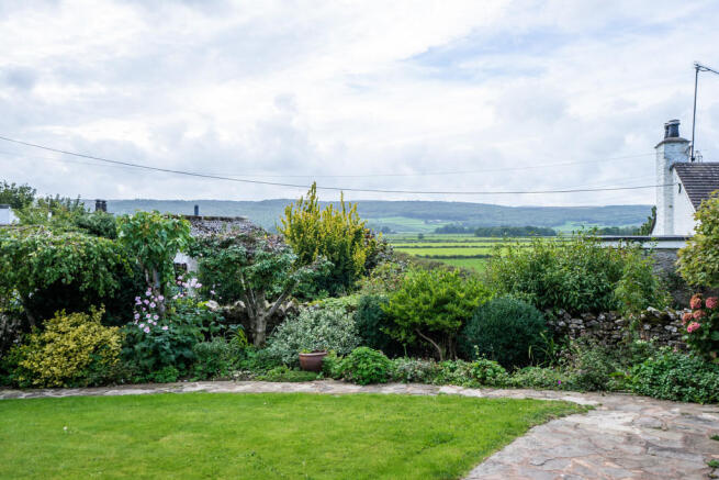 The garden