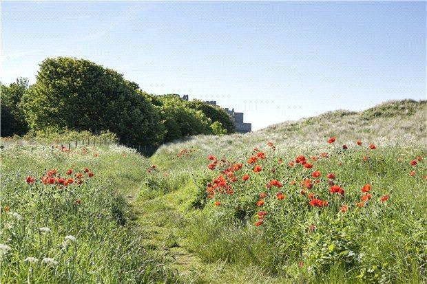 Footpaths