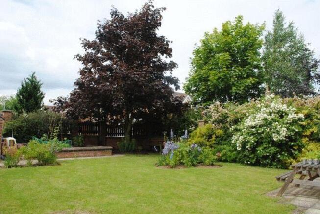 NEW GARDEN (26.06.