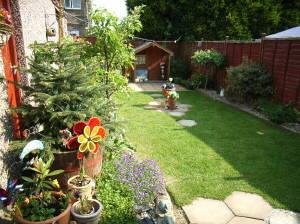 Photo 11