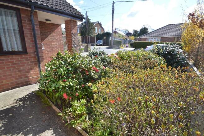 Mature front garden