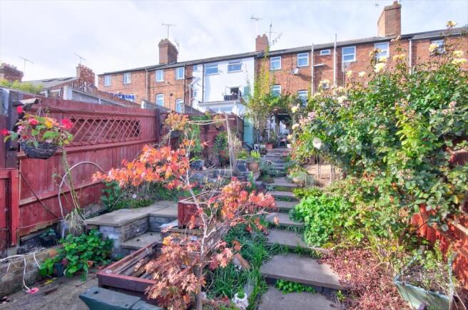 Garden 4