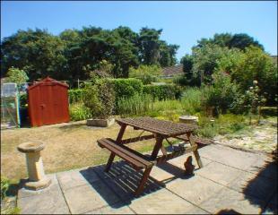 Patio Area