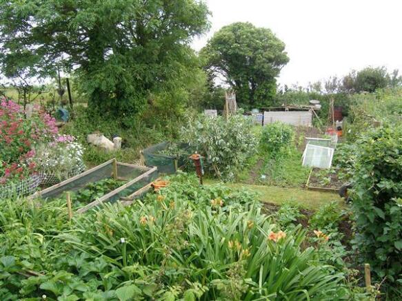 Vegetable Garden