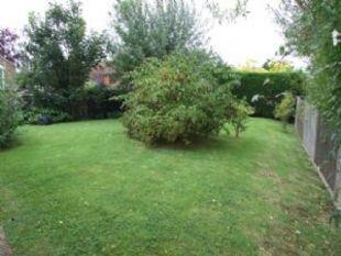 17 wood gdn