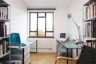 Study Area