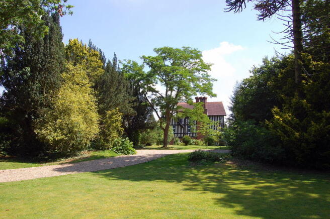 Photo 11