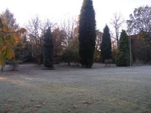 Communal Grounds