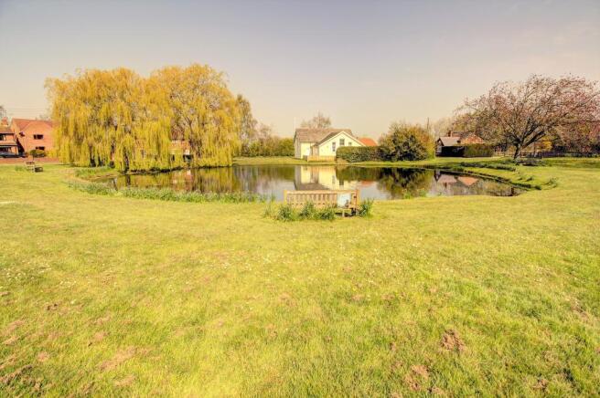 Village Pond