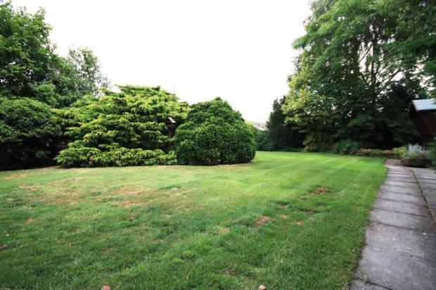 Garden Image 2