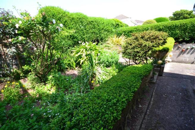 SHRUBBERY.jpg