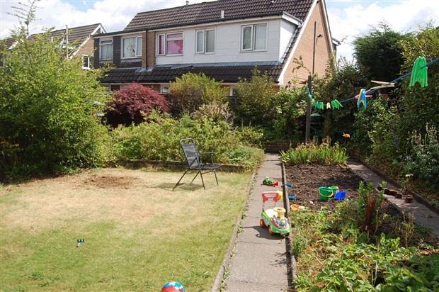 garden 3