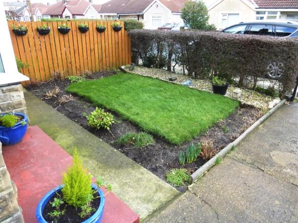 Photo 11