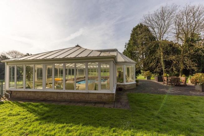 The swimming pool