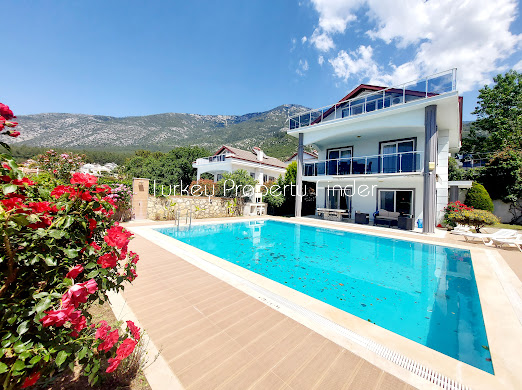 Stunning villa