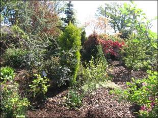 Photo 28