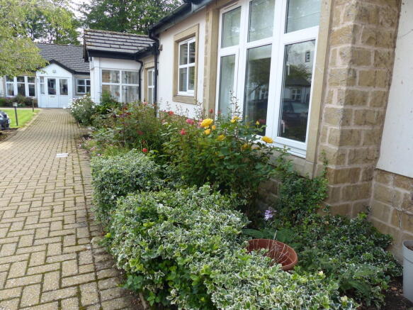 Photo 11