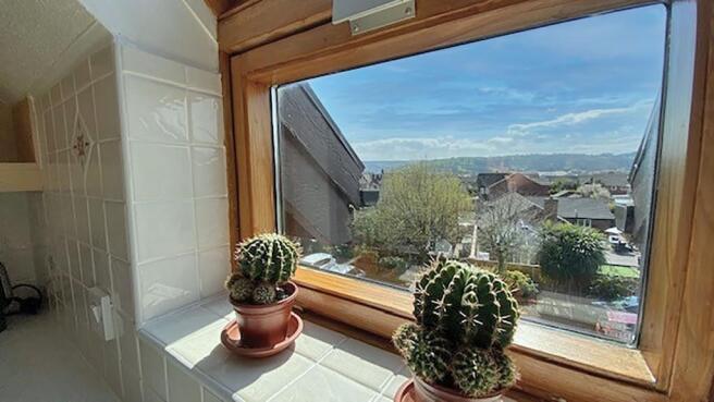Kitchen View