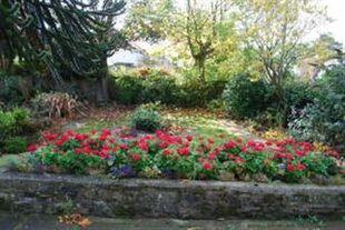 Photo 11