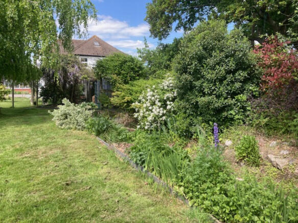 garden 6