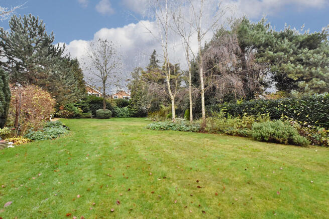 Communal Garden