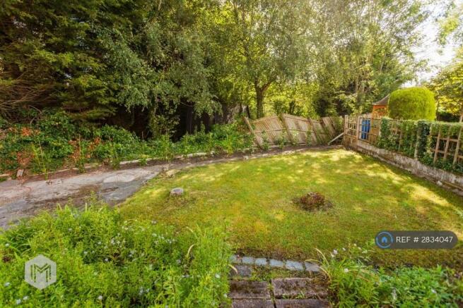 Back Garden