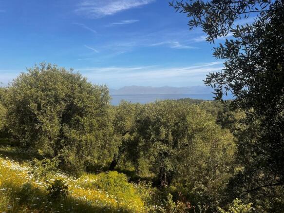 Land and view