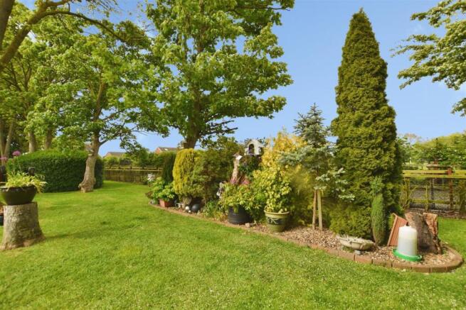 561d23ef-garden 20aa.JPG