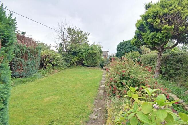 Garden at Back