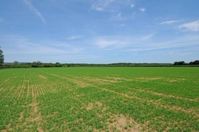 willowfield