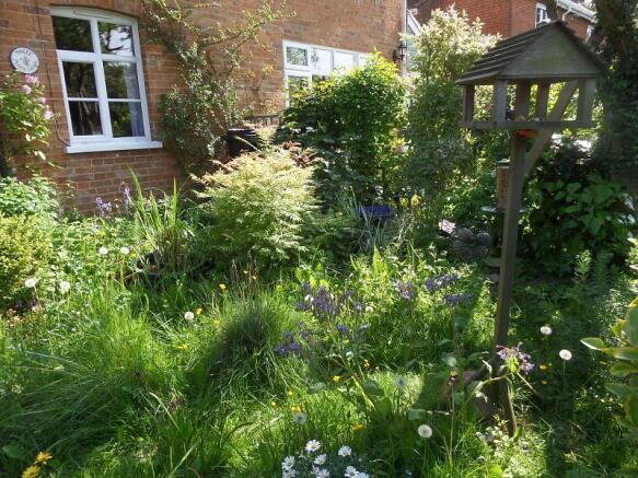 wildlife garden to front