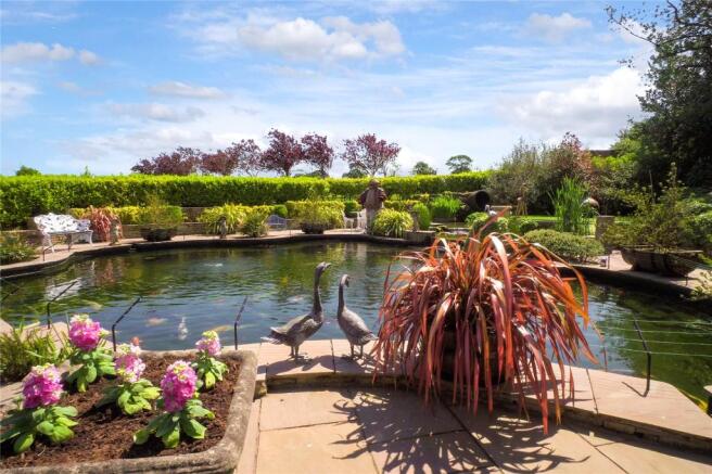 Carp Pond