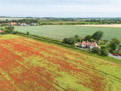 Charming Period Cottage with One Bedroom Annexe in Binham