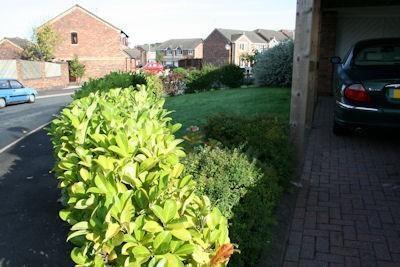 Photo 32