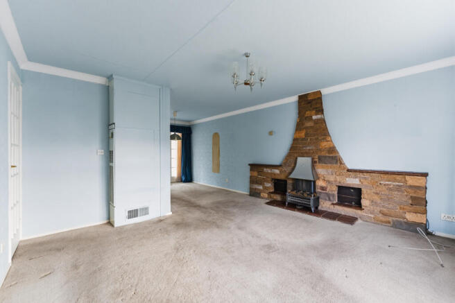 JW100339 T202602181722.jpg