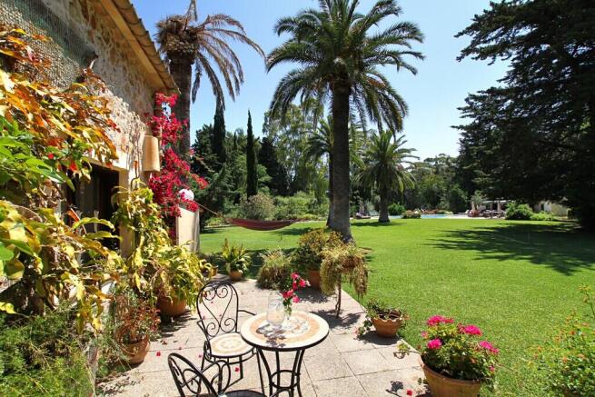 Garden (7)