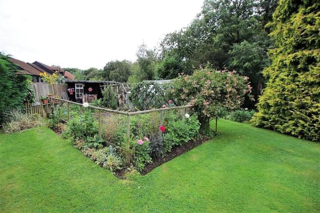 Rear Garden (6)