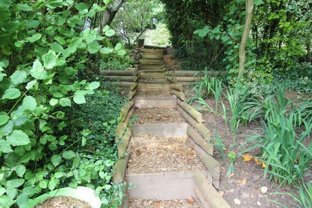 Woodland Walk