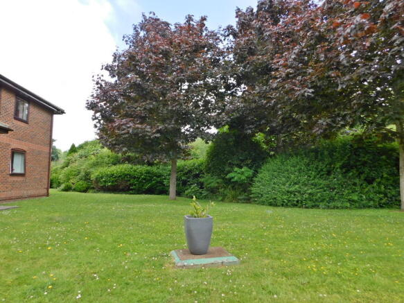 Photo 9