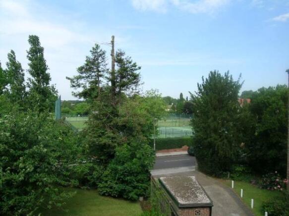 View From Block