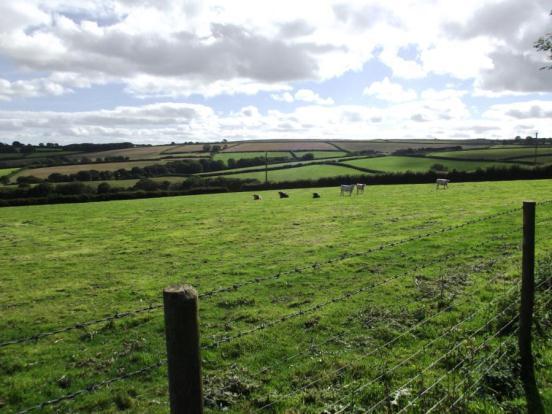 Southerly Views