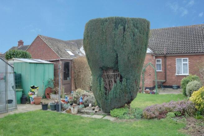 Garden at Back