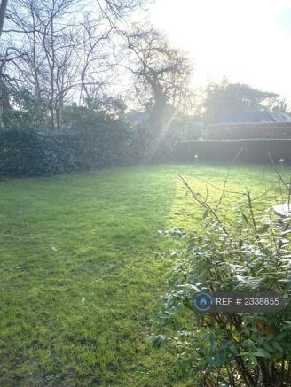 Communal Garden 2