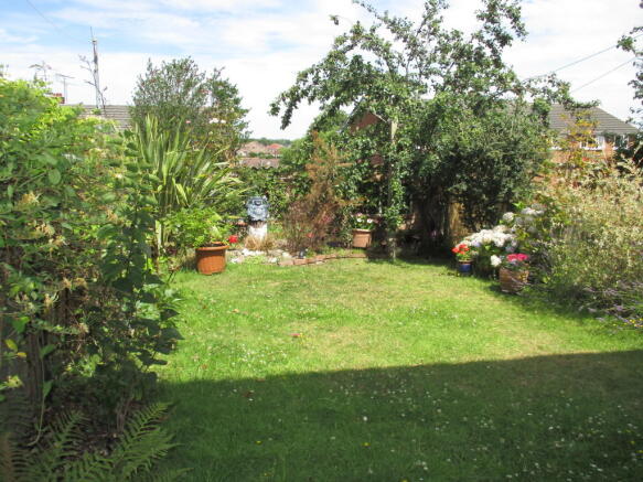 Back Garden