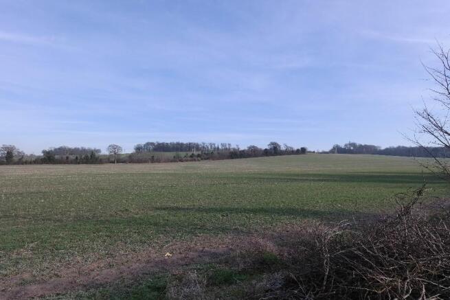 Views Of Open Fields
