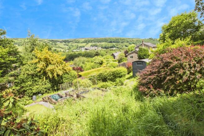 Garden and Views